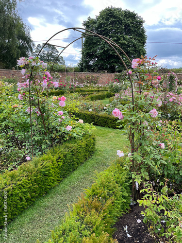 Beautiful english roses in pink, yellow and orange in a garden setting with arbors and surrounding plants.