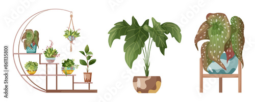 Houseplant and macrame plant growing in pots. Set of handmade home decorations macrame plants isolated on white background. Cartoon flat illustration.