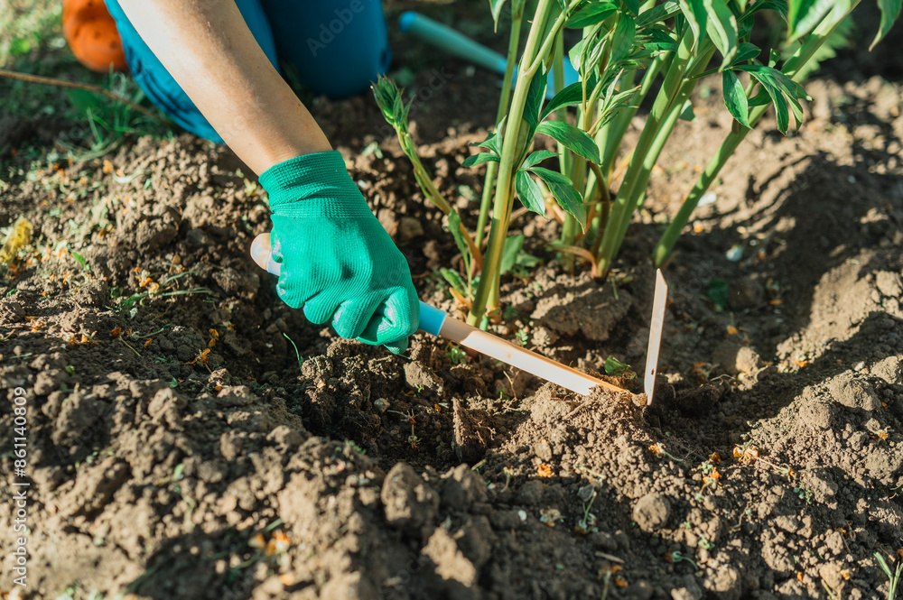Hand of woman using gardening fork in garden Hand of woman using gardening fork in garden