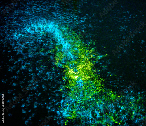 Illuminated Noctiluca scintillans during night in sea