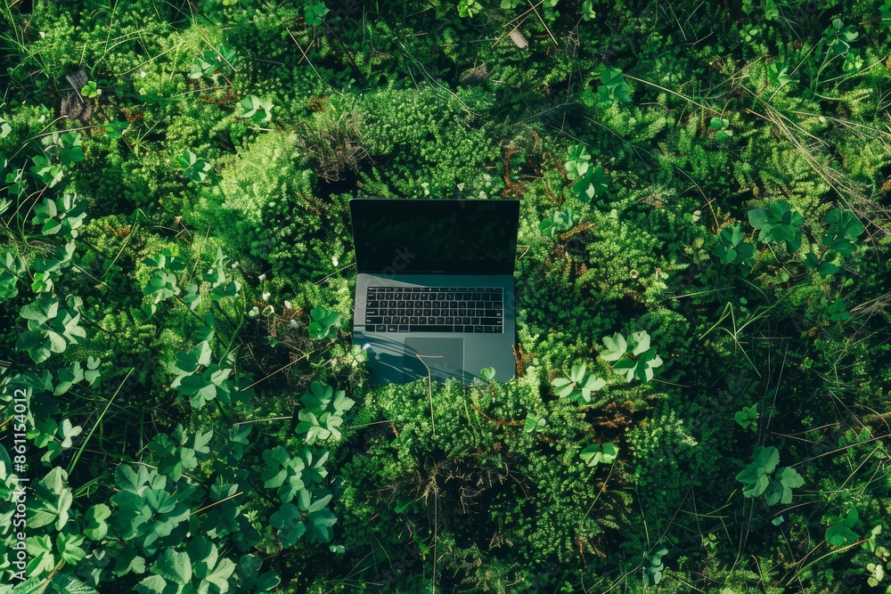 image of laptop standing on meadow in circular shape. Sustainable technology concept. image of laptop standing on meadow in circular shape. Sustainable technology concept.