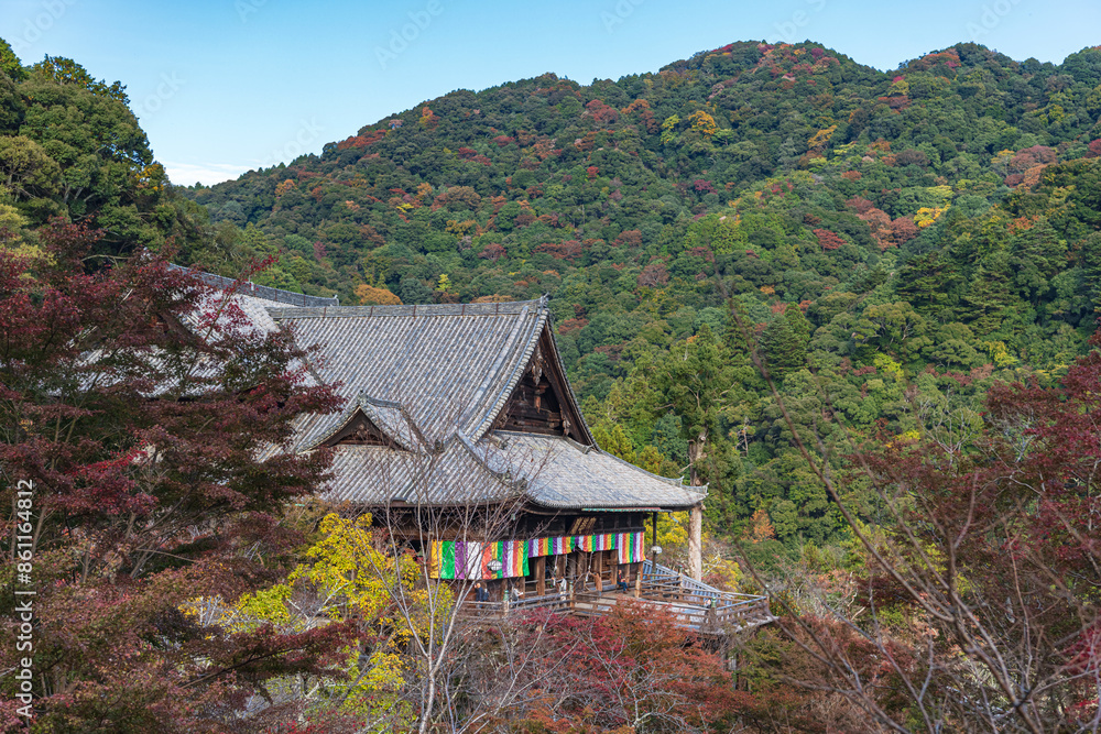 奈良 長谷寺 本堂の秋景色