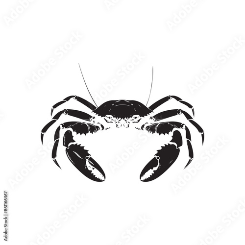 Weaver Crustacean silhouette black and white (Crab)