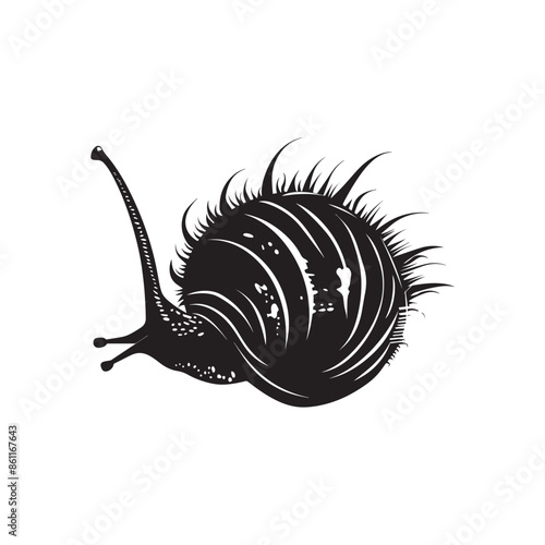 Weaver Crustacean silhouette black and white (Snail, Mollusca)