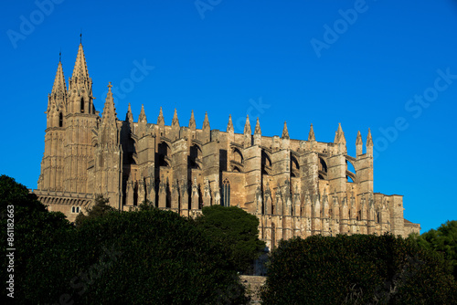 cathedral de mallorca