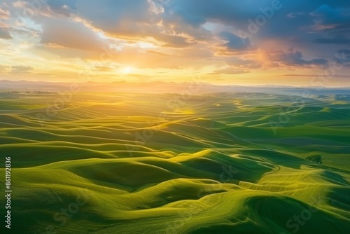 Palouse, Eastern Washington, a road between green hills