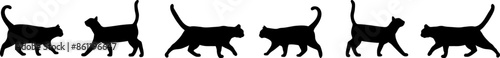Simple cat silhouette vector border, walking kitten frame, isolated illustration clip art element design