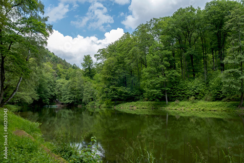Hilschweiher, Pfälzerwald