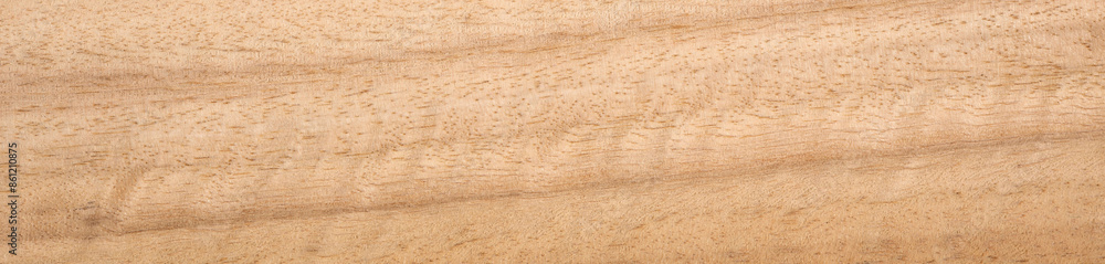 Striped eucalyptus veneer wood texture surface in close up Striped eucalyptus veneer wood texture surface in close up