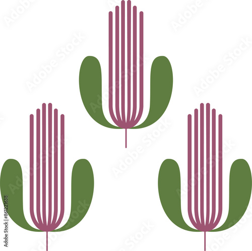 Agar-agar vector illustration
