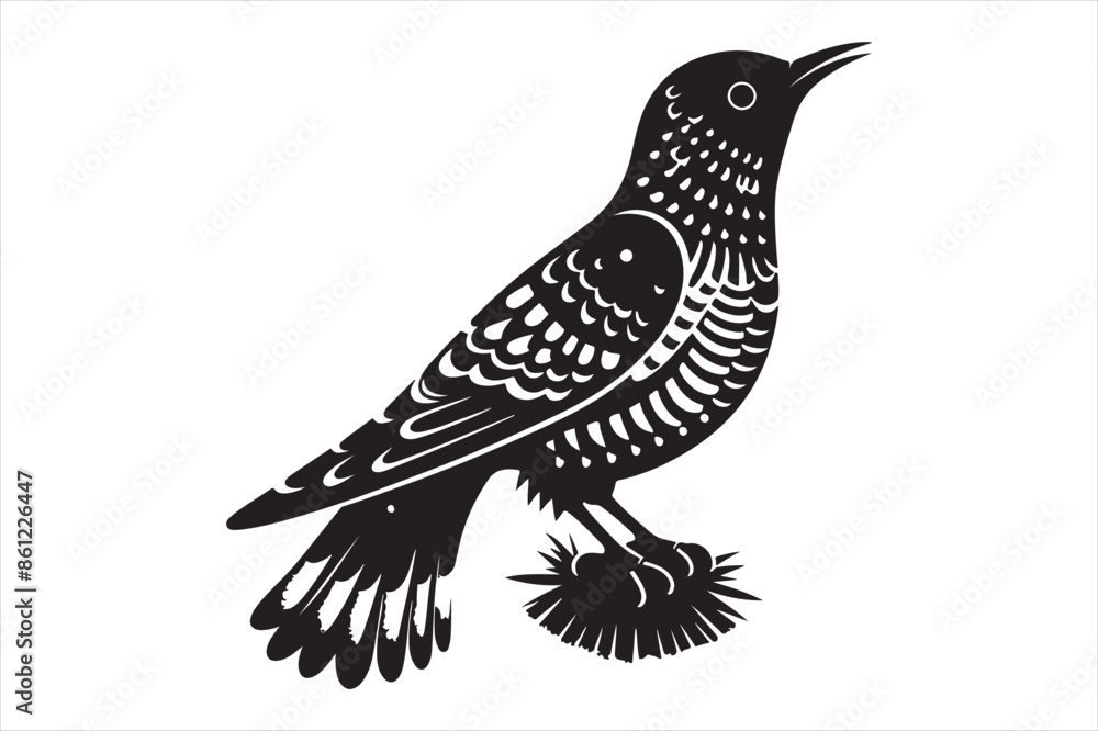 Obraz premium Cuckoo Vector silhouette image