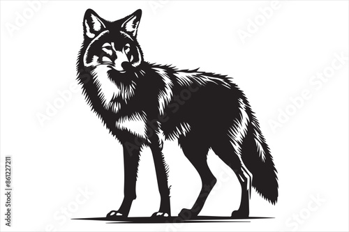 Coyote Vector silhouette image