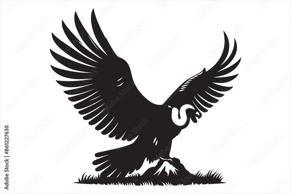 Fototapeta premium Condor Vector silhouette image