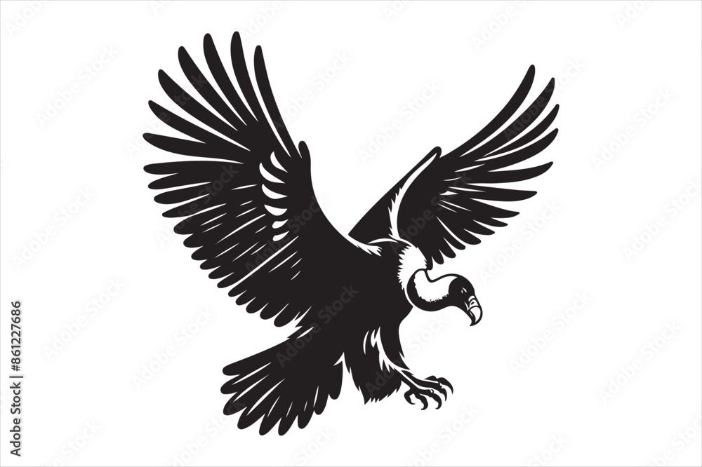 Condor Vector silhouette image Condor Vector silhouette image