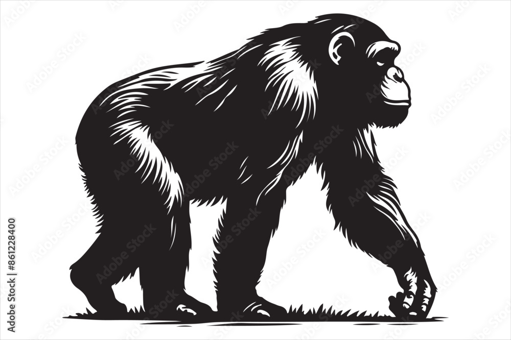 Obraz premium Chimpanzee Vector silhouette image
