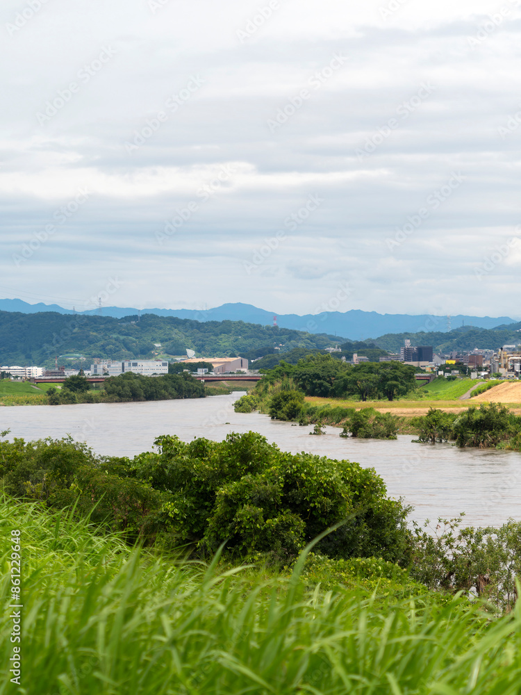 Fototapeta premium 増水した大和川と水没する河川敷の樹木