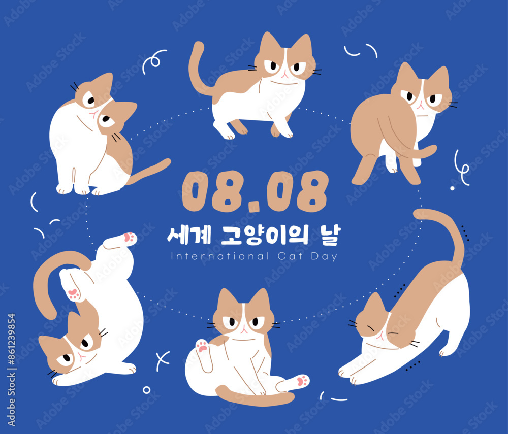 세계 고양이의 날 세계 고양이의 날