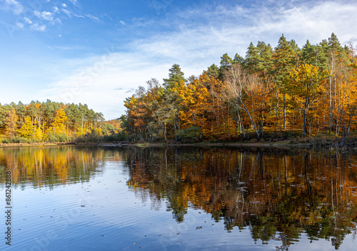 Piękny krajobraz jesienny z odbiciem w wodzie