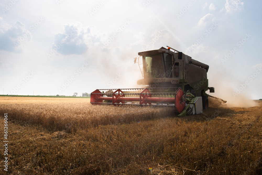 Harvester working in wheatfield at sunset. Harvester working in wheatfield at sunset.