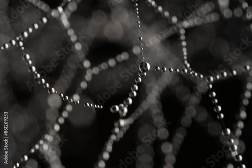 Water droplets on spider web in forests.