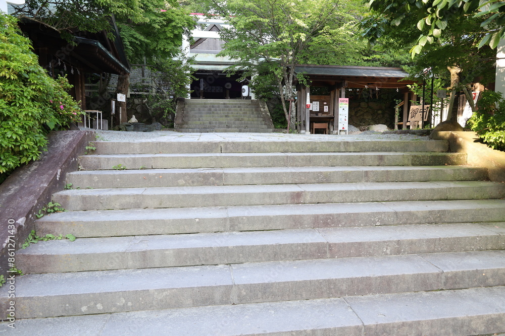 A Japanese shrine in Kamakura City in Kanagawa Prefecture : a scene of the access to the precincts of Kamakura-guu Shrine A Japanese shrine in Kamakura City in Kanagawa Prefecture : a scene of the access to the precincts of Kamakura-guu Shrine