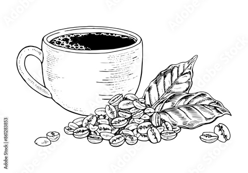 Cup of Coffee and Beans. Vector hand drawn illustration. Mug and grains with leaves. Vintage black and white art. Changeable background color. Food clipart sketch drawing. For packaging and cafe menus