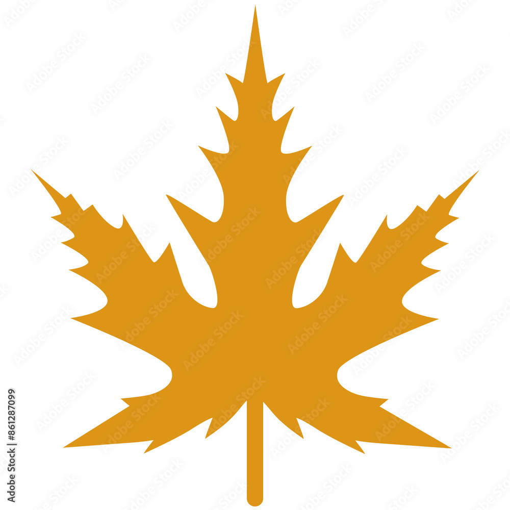 maple leaf on a white maple leaf on a white