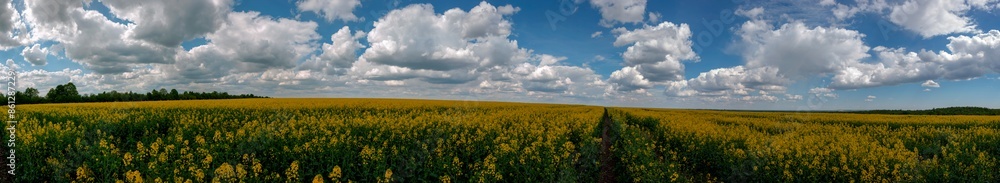 Obraz premium Panorama of yellow rapeseed valley. The mountains and the beautiful spring sky in the background
