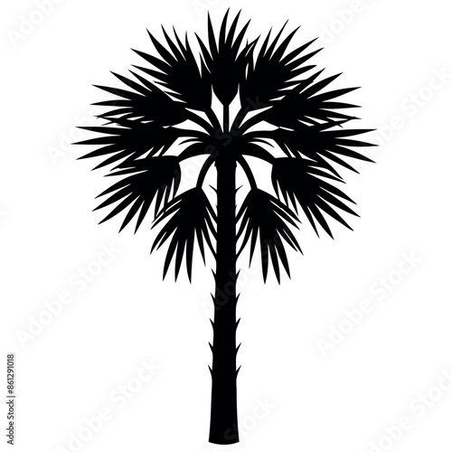 An assortment of tropical palmetto tree silhouettes
