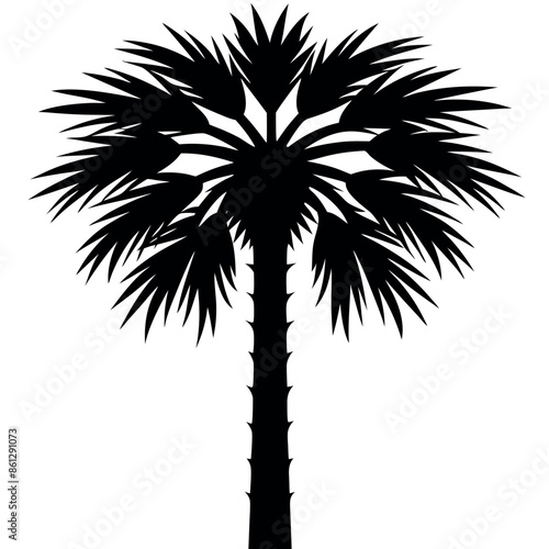 An assortment of tropical palmetto tree silhouettes
