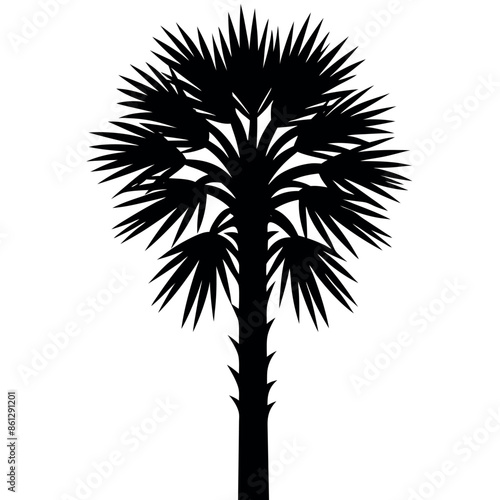 An assortment of tropical palmetto tree silhouettes
