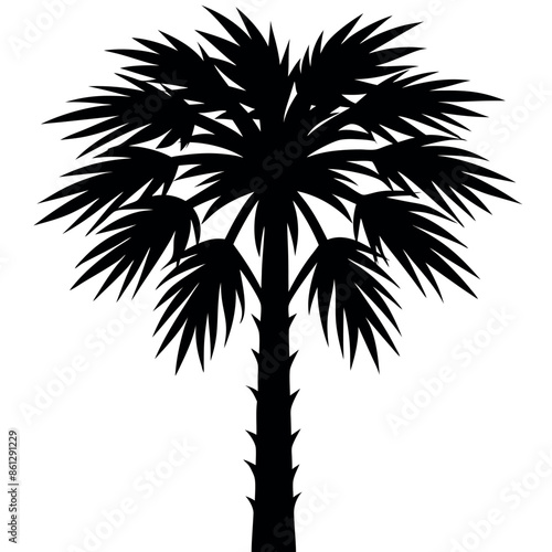 An assortment of tropical palmetto tree silhouettes
