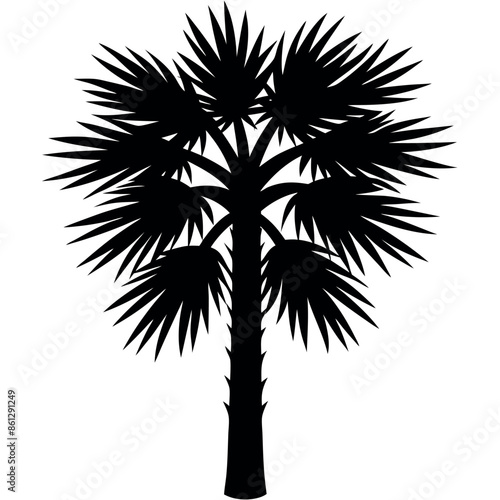 An assortment of tropical palmetto tree silhouettes
