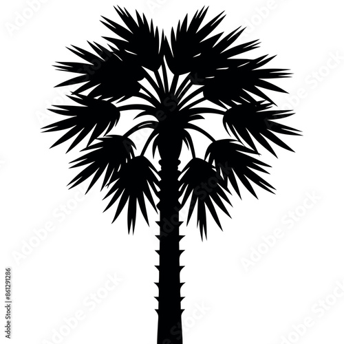 An assortment of tropical palmetto tree silhouettes
