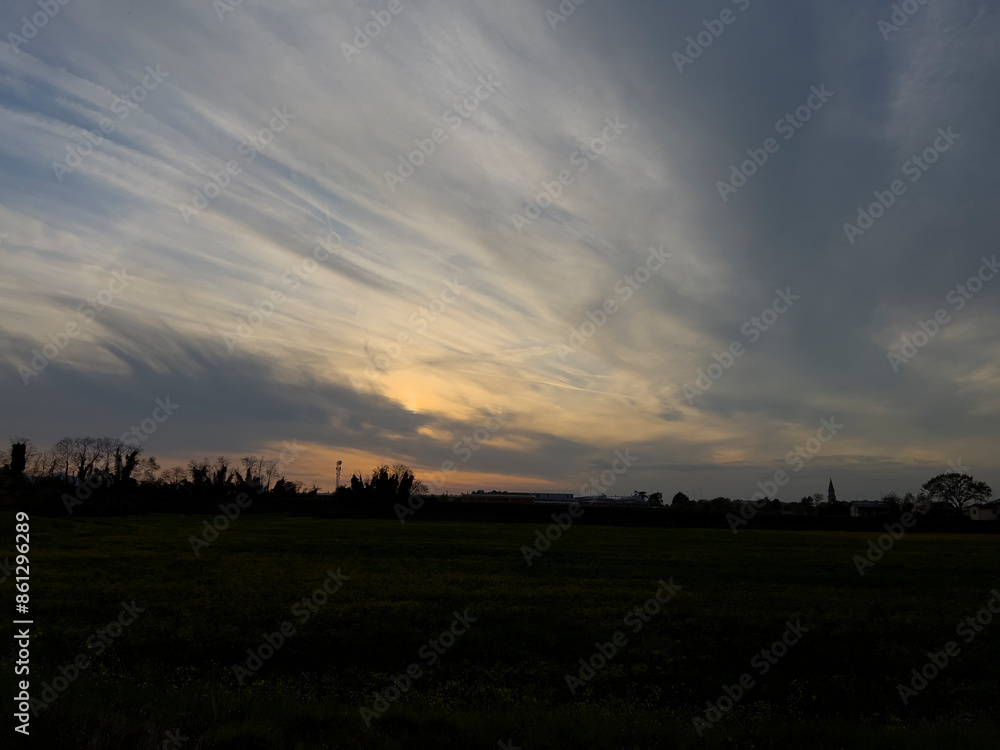 Sun setting over grassy field with trees in the background Sun setting over grassy field with trees in the background