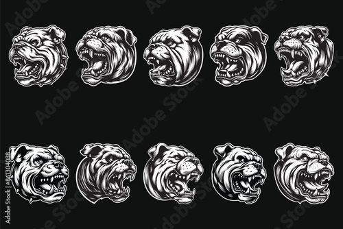Dark Art Angry Fierce Bulldog Head Black and White Illustration