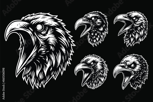 Dark Art Scary Angry Crow Head with Sharp Beak Black and White Illustration