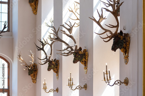 Obraz na płótnie Moritzburg Castle in Saxony, Germany. Deer hall. w salonie