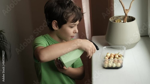 A young boy in a green shirt is using a spray bottle to water onions planted in a recycled plastic container. This scene captures the essence of teaching children sustainable habits and indoor photo