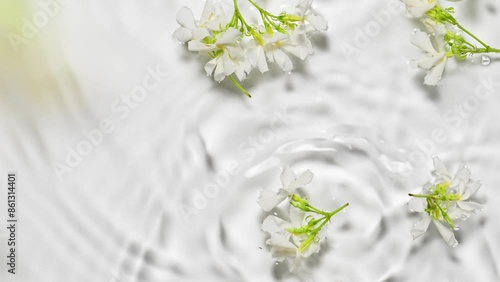 Slow motion of falling jasmine flowers on water surface