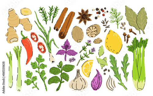 Spices and herbs set. Flat cartoon seasonings for spicy food at the kitchen. Cute culinary design elements for kitchen, menu, recipes. Pepper, anise, ginger, basil, cumin and others.
