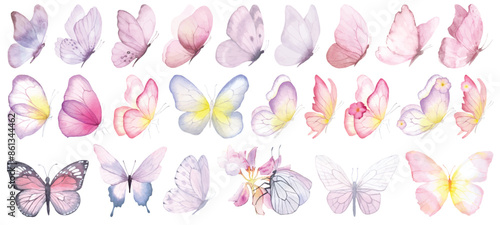 Butterfly collection. Watercolor illustration. Colorful Butterflies clipart set. Baby shower design elements. Party invitation, birthday celebration. Spring or summer decoration