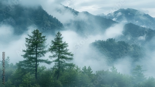 Enchanting view of misty mountains with two pine trees