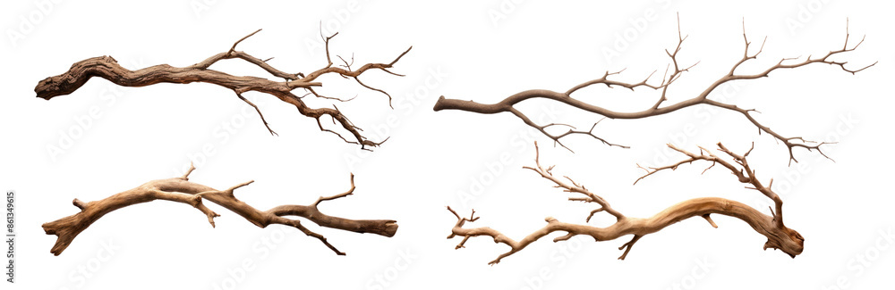 Natural wooden branches collection png set Natural wooden branches collection png set