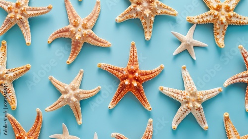 Colorful Starfish on Blue Background Pattern
