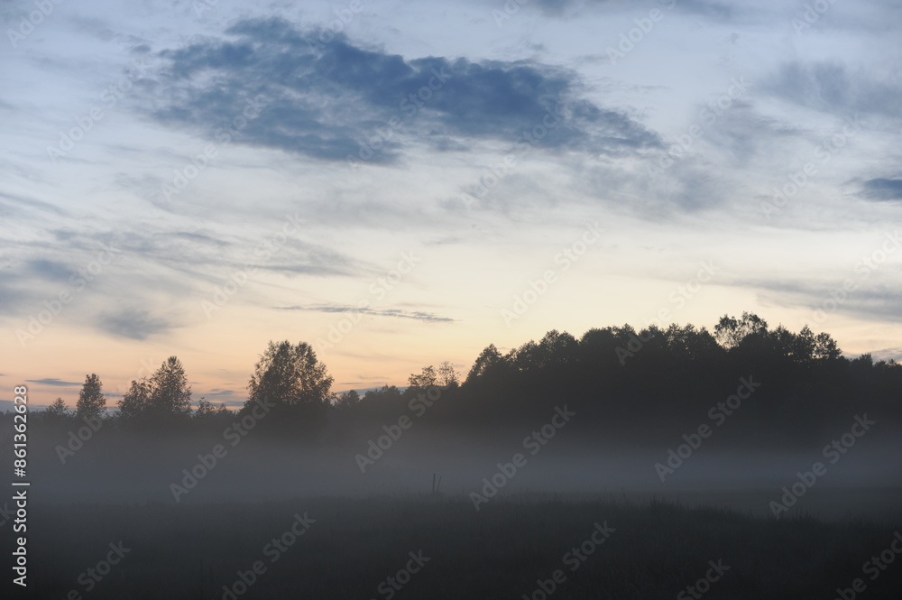 Foggy sunrise morning over the meadow with trees in the background and clouds in the sky Foggy sunrise morning over the meadow with trees in the background and clouds in the sky