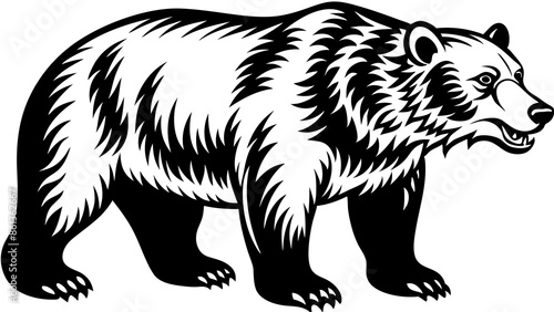 brown bear on a branch