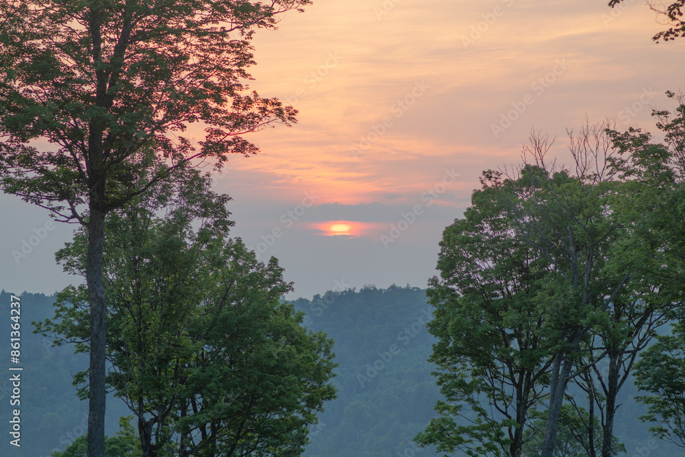 Obraz premium Morning sunrise woodland landscape fog, copy space selective focus natural background