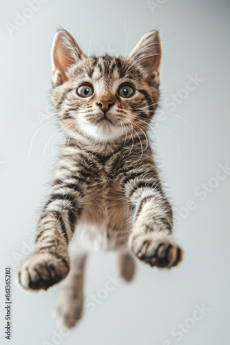Playful Tabby Kitten Jumping Mid Air Against Light Background