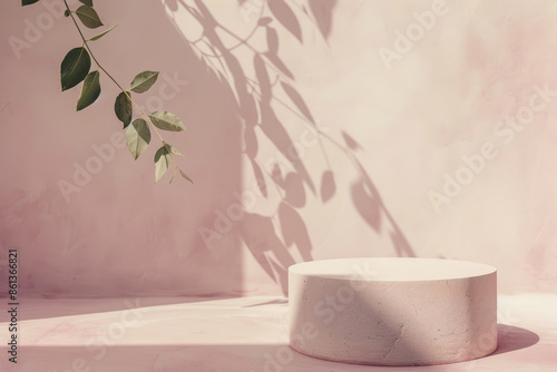 Minimalistic Round Pedestal with Branch Shadows on Pastel Background